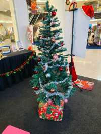 Celebrate Christmas with Stories and Generosity