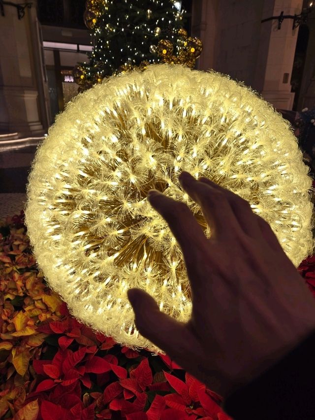 天幕下的巨型聖誕樹
