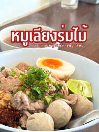 ร้านก๋วยเตี๋ยวหมูเลียงร่มไม้