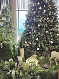 숲속요정 트리존이 멋진 거제여행지🎄