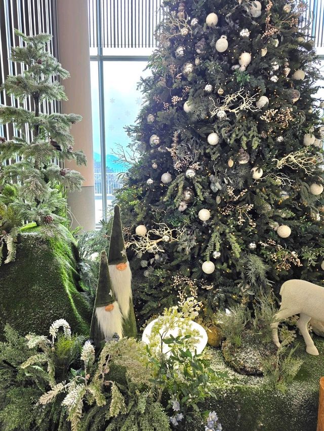 숲속요정 트리존이 멋진 거제여행지🎄