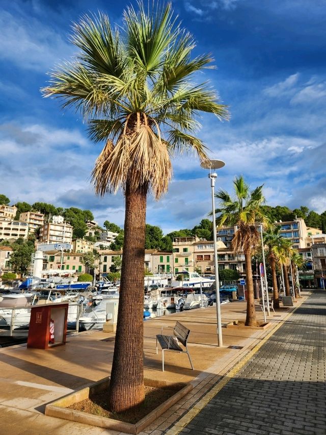 🧡마요르카 여행 중 힐링했던 "소예르항구(Port de Sóller)"🧡