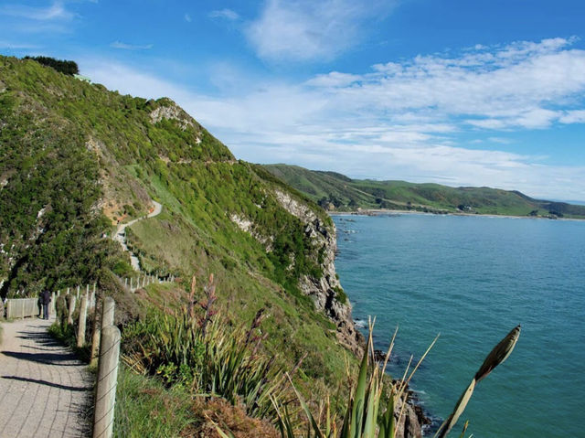 Nugget Point Lighthouse, Otago, NZ