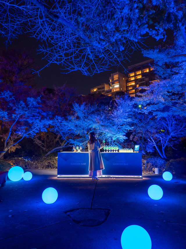 【無料で楽しめる！✨】八芳園のブルーライトアップが幻想的すぎる！！💡