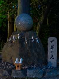 志を立て祈る神社 花手水もライトアップする滋賀県唯一の神社 12/14~1/12迄。⛩