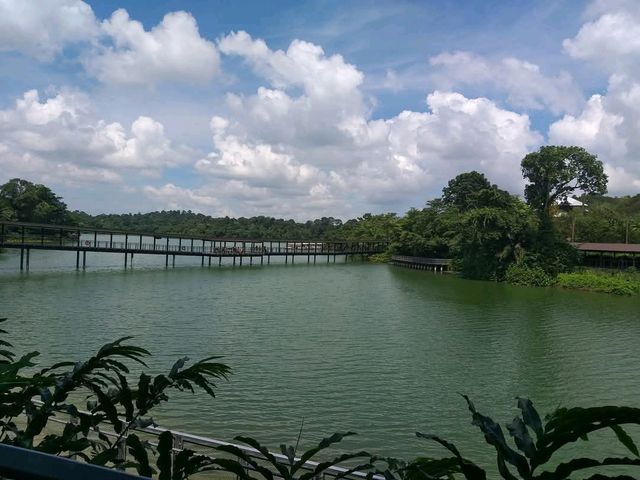 River Wonders