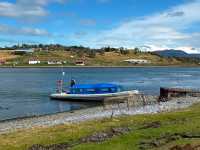 阿根廷-烏斯懷亞🇦🇷登島超近距離觀賞企鵝