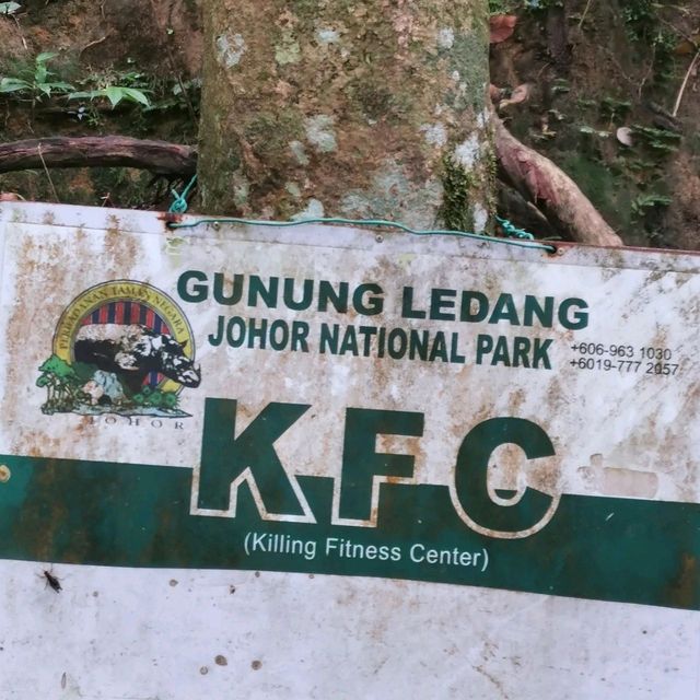 Hike to the top of Mount Ophir aka Gunung Ledang