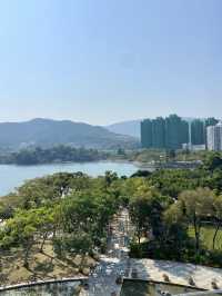 🚶‍♀️‍➡️🌸 人在花叢中｜香港賞花野餐首選海濱公園🥇🌹🌈