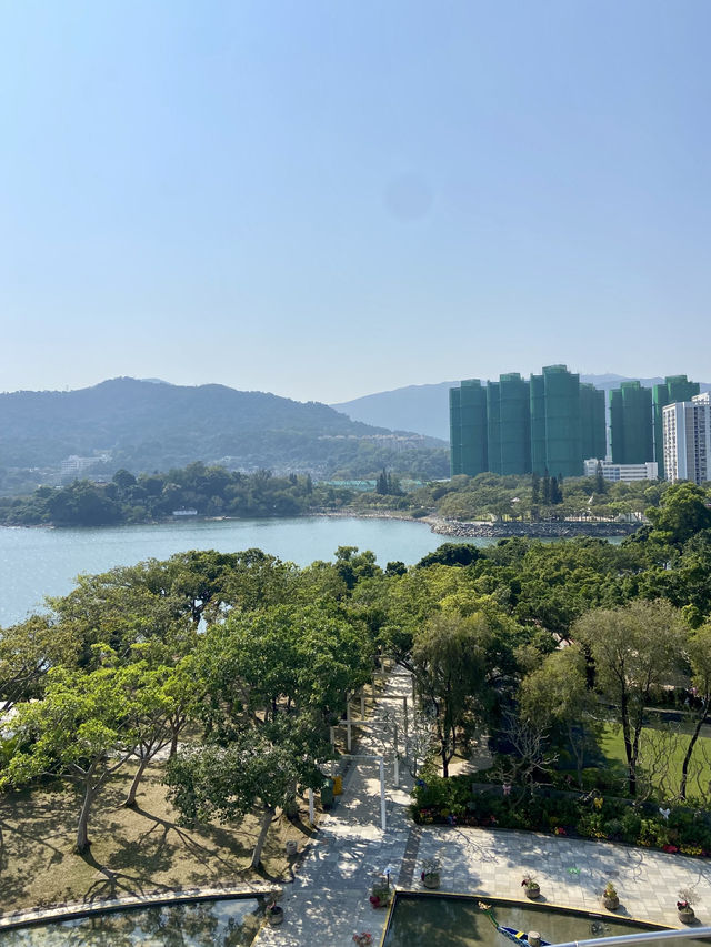 🚶‍♀️‍➡️🌸 人在花叢中｜香港賞花野餐首選海濱公園🥇🌹🌈