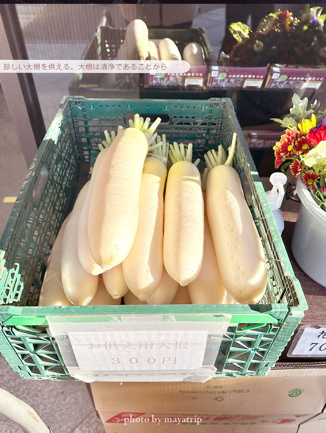 めずらしいシンボルが大根と巾着なお寺【東京/浅草】