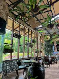 rain forest Cafe in the Hill