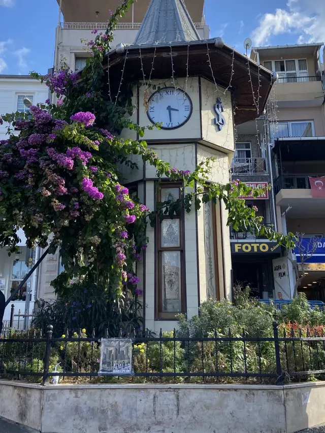 Prince Island: Escape to Serenity