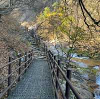 Seoraksan Awaits: Discover Korea's Majestic Mountain Paradise!
