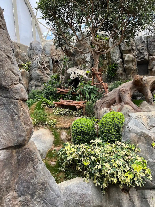 Ocean Park in Hong Kong