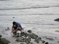 Where Wishes Meet the Sea: Pantai Redang Sekinchan