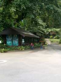 น้ำตกพรหมโลก พรหมคีรี นครศรีธรรมราช