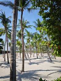 Phu Quoc Island 11 Days Travel Guide 