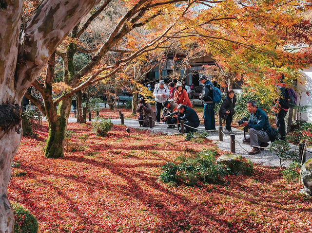 วัดเอ็นโคจิ (圓光寺, Enkōji) 