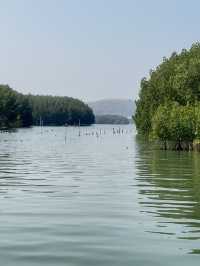 TAAB Luxury Camp อ่างศิลา: คาเฟ่ชิล ๆ สไตล์ซาฟารี