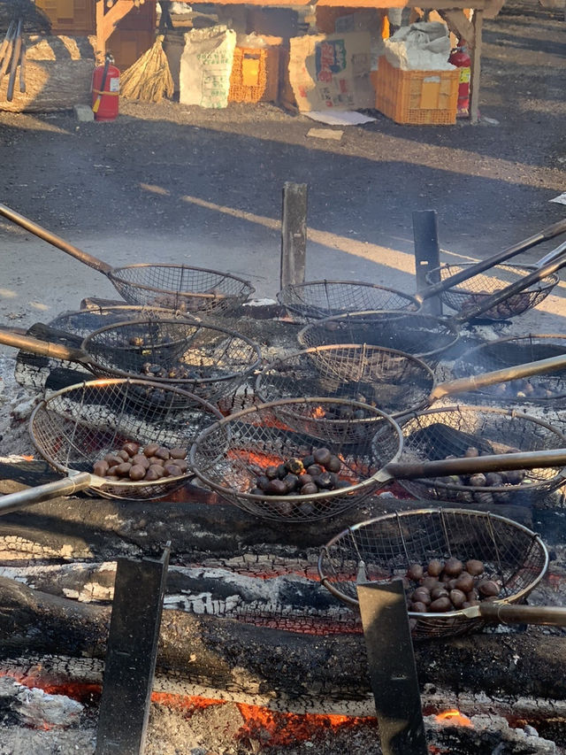 겨울여행