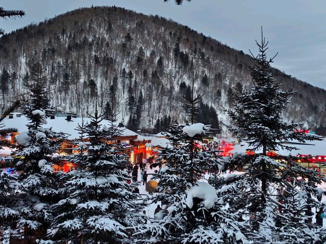 รีวิว หนาวหน้าสั่นที่ Snow Town Harbin