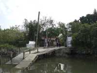 Hong Kong’s Hidden Wetlands: Our Nam Sang Wai Cycling Trip