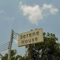 Serene House Cafe 