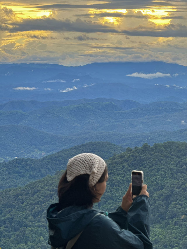 พิกัด 14 อุทยานแห่งชาติ | เชียงใหม่ 📖🌳🌿🌤️