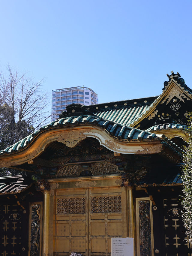 ✈️日本東京文化深厚日本第一座公園🤎