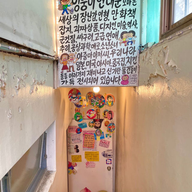 홍대 당일치기 여행코스 이걸로 종결‼️