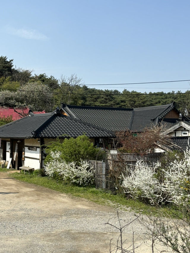 부여