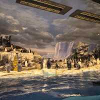 墨田水族館～暢游於水下奇幻世界