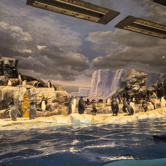 墨田水族館～暢游於水下奇幻世界