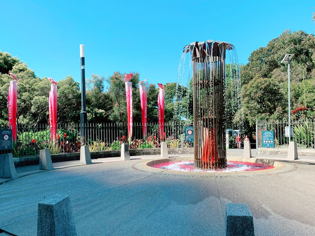 From Greenery to History: A Walk to State Library of NSW