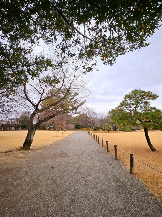 구마몬의 도시 구마모토 여행