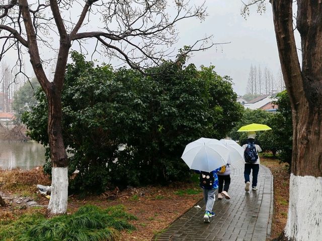  🌈上海的後花園－朱家角！  🌟