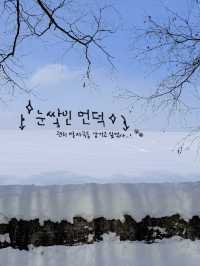 비에이 필수 여행지를 알려드려요!