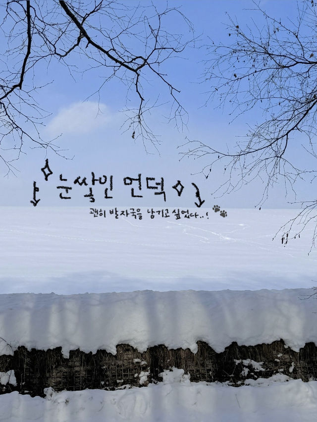 비에이 필수 여행지를 알려드려요!