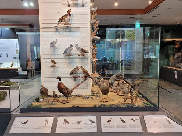 대전광역시 충남 대학교 대덕 캠퍼스 자연사 박물관 입니다.