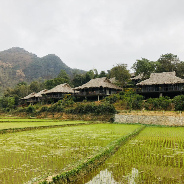 MỘC CHÂU - SƠN LA - VIỆT NAM