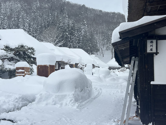 银山温泉+福岛大内宿