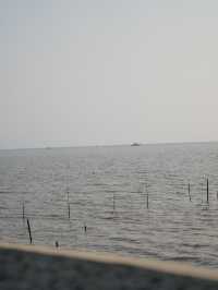 สายลมบางปู