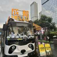 China Chengdu - 5 days 4 nights 