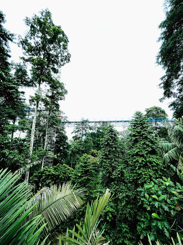 “Forest Skywalk Kepong: Walk Among the Treetops with Breathtaking Views”