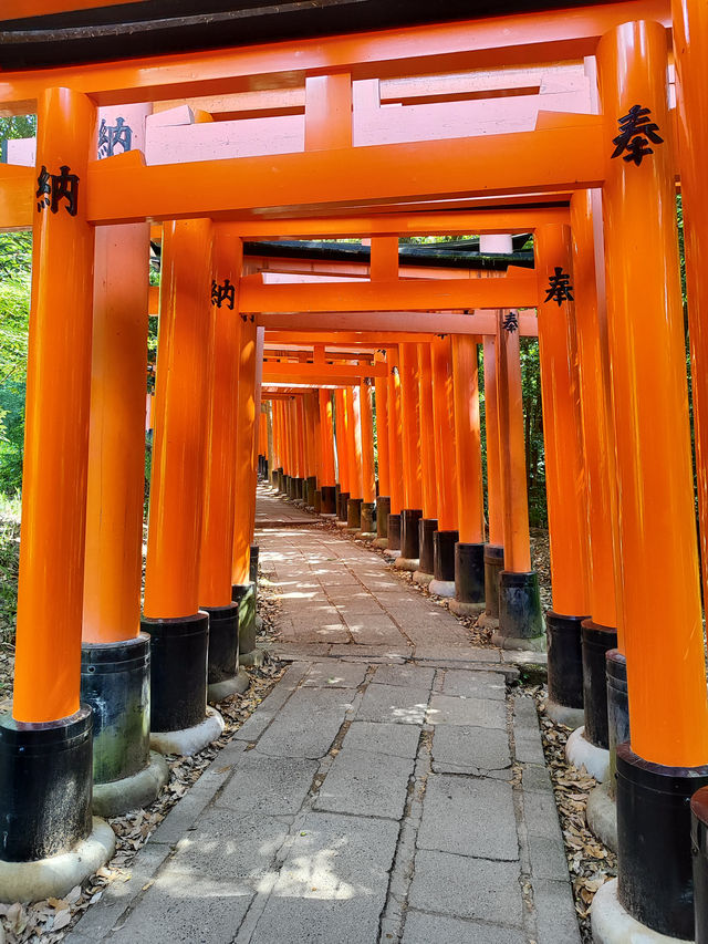 Kyoto: A Journey Through Japan’s Cultural Heart