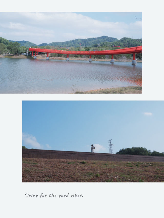 深圳虹橋公園：叢林中紅飄帶 