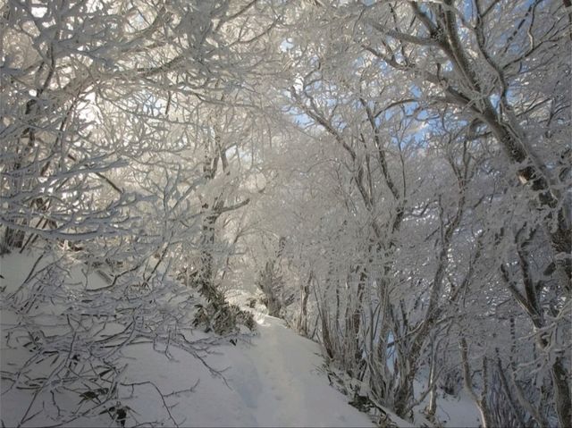 美しすぎる冬の山