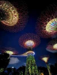 Gardens by the Bay, a must-visit attraction in Singapore!
