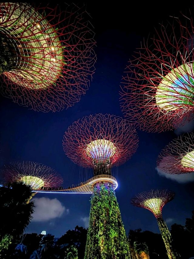 Gardens by the Bay, a must-visit attraction in Singapore!